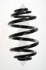 SPIDAN 55119 Coil Spring